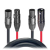 10' FT Dual Powerkon to XLR Dual Audio Combo Jumper Link Jumper Cable